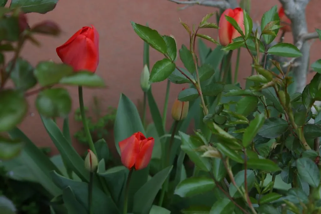 Agriturismo Cascina Della Fontana Лоди Италия